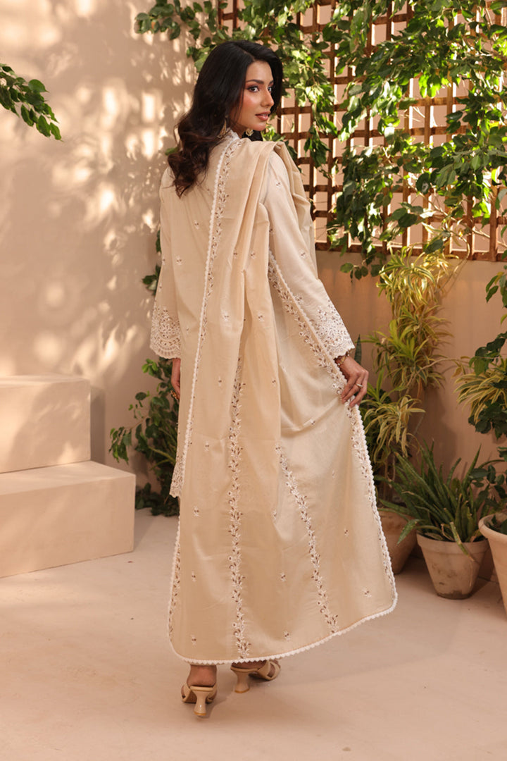 3 Pc Formal Suit