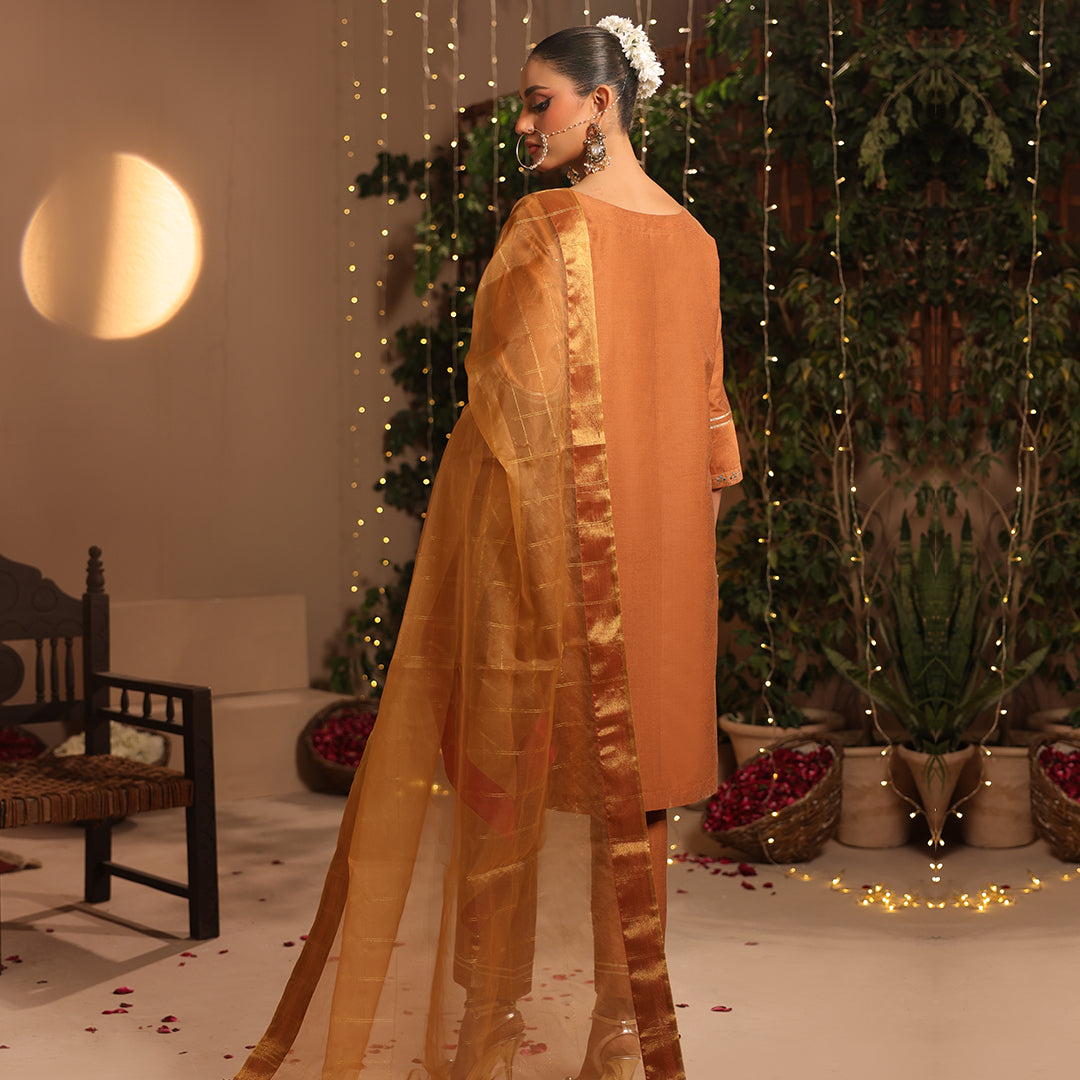 3 Pc Formal Stitched Suit - ZL25-C12-06